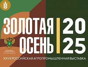 Золотая осень 2025