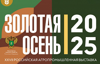 Золотая осень 2025